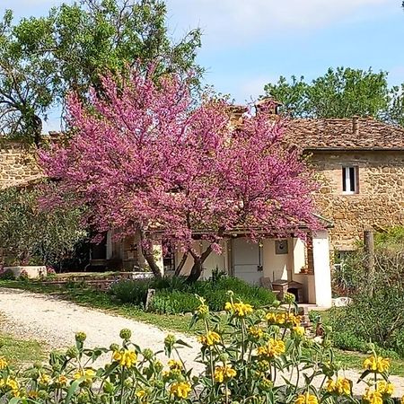 Ferienwohnung Agriturismo Timignano Monteguidi Exterior foto