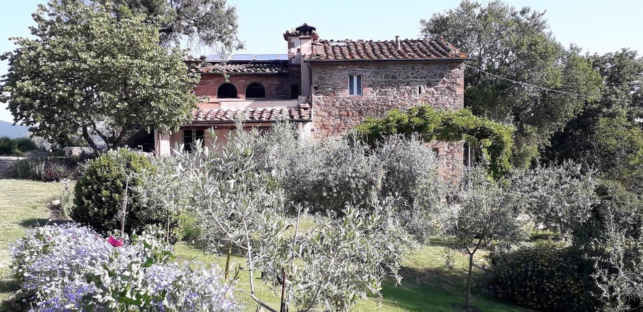 Ferienwohnung Agriturismo Timignano Monteguidi Exterior foto