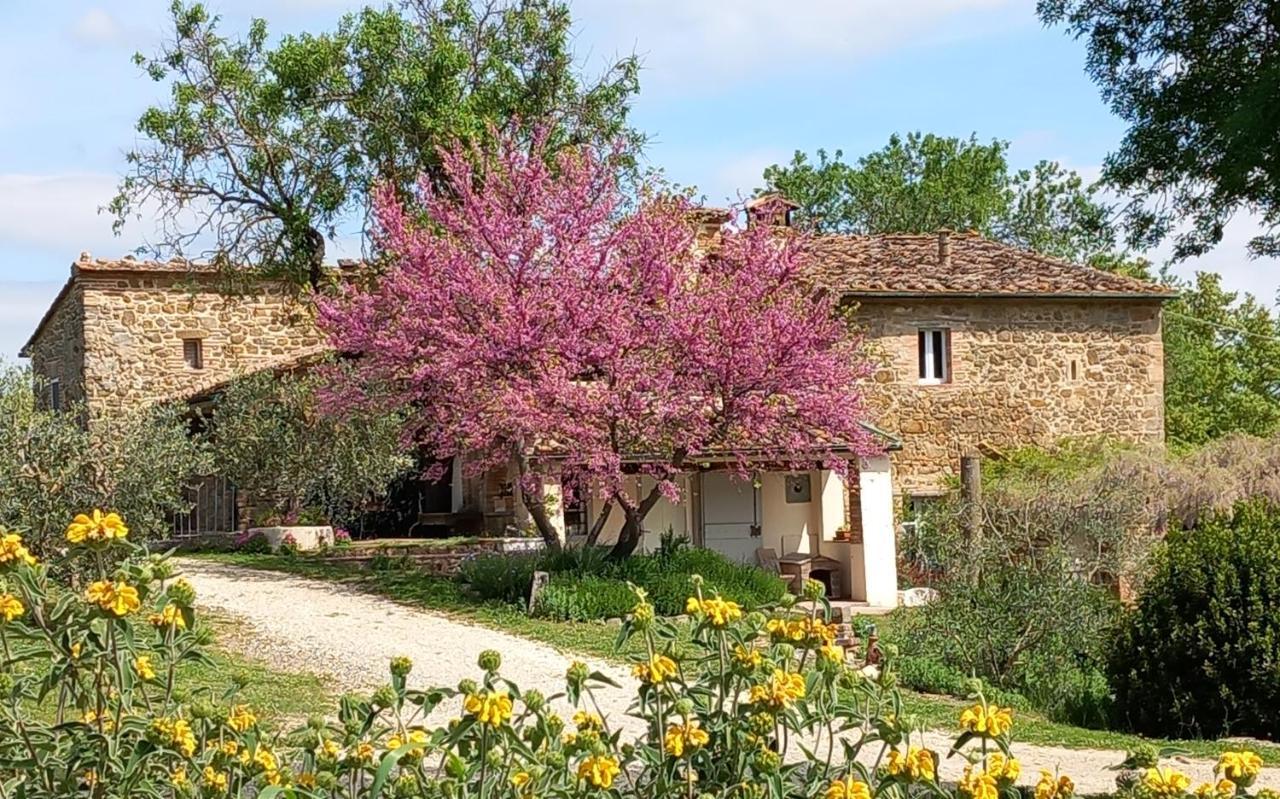 Ferienwohnung Agriturismo Timignano Monteguidi Exterior foto