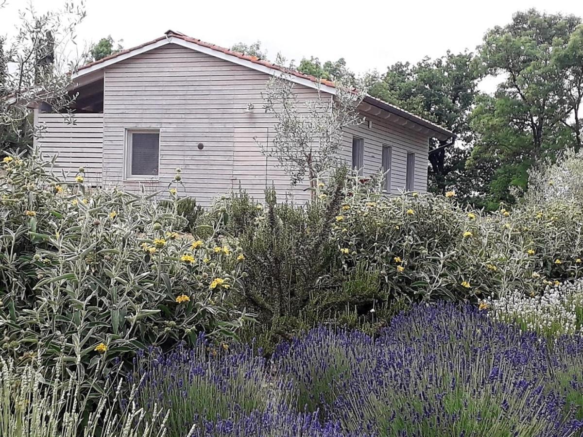 Ferienwohnung Agriturismo Timignano Monteguidi Exterior foto